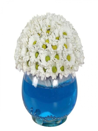 Fanusta Beyaz Papatyalar