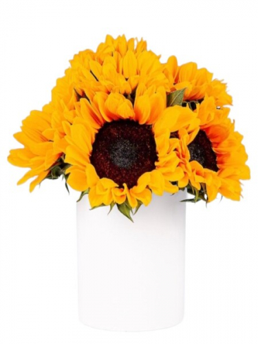 Seramikte Ayçiçekleri