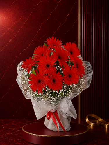 Kırmızı Gerbera Buket