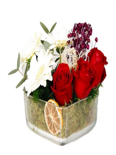 Kalp Camda Güller ve Gerberalar