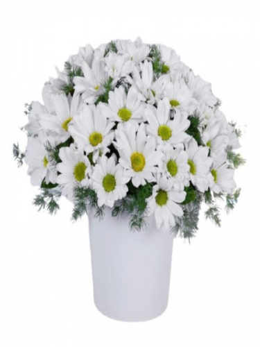 Seramikte Papatyalar