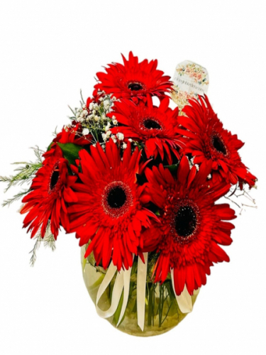 Vazoda Aşk Kırmızısı Gerberalar