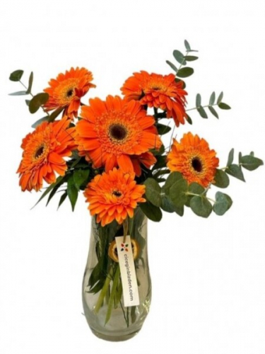 Vazoda Turuncu Gerberalar