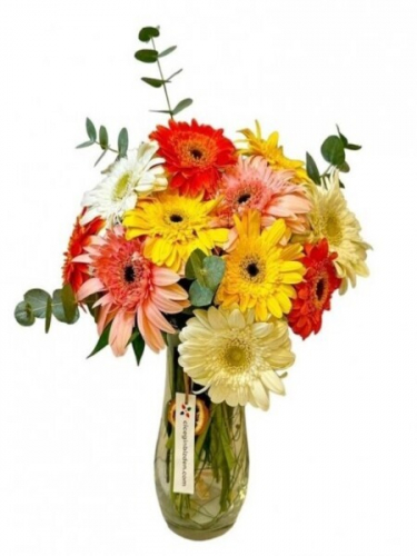 Vazoda Renkli Gerberalar