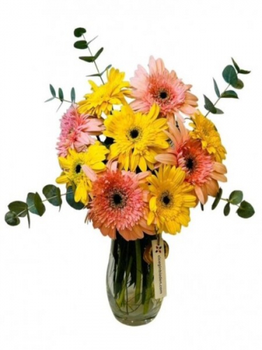 Vazoda Sarı Pembe Gerberalar