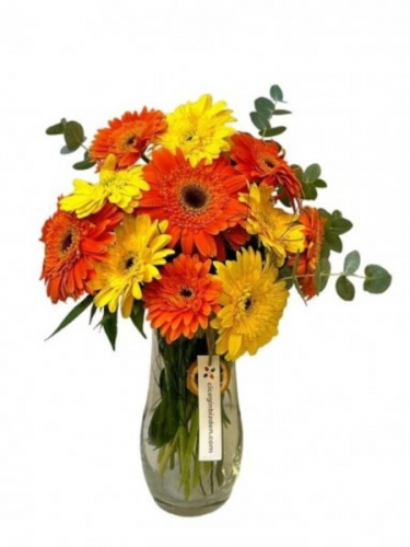 Vazoda Turuncu Sarı Gerberalar