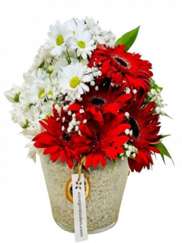 Konikte Beyaz Papatyalar ve Kırmızı Gerberalar