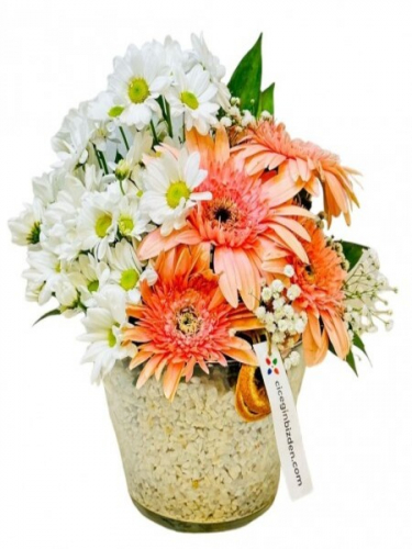 Konikte Beyaz Papatyalar ve Pembe Gerberalar