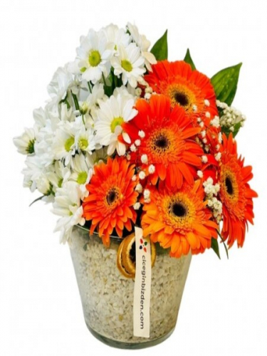 Konikte Beyaz Papatyalar ve Turuncu Gerberalar