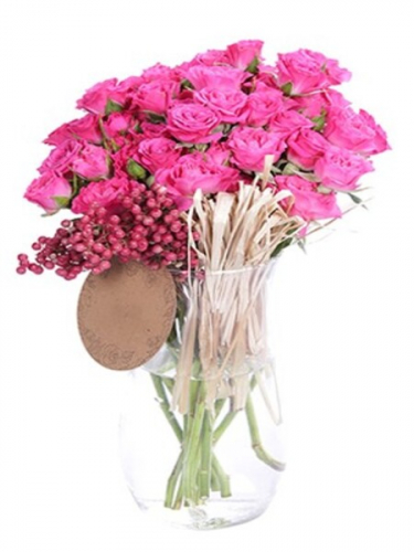 Vazoda Pembe Çardak Gülleri