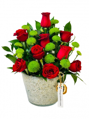 Konikte Vip Güller ve Yeşil Biçme