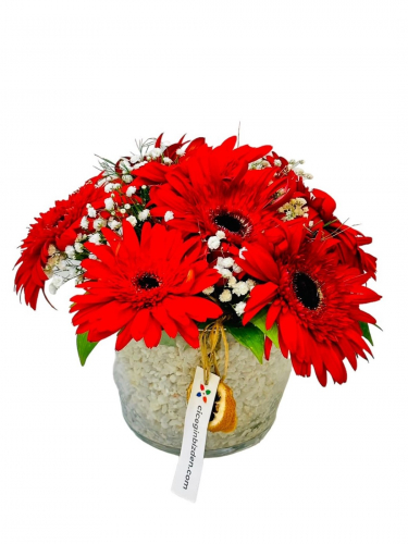 Konikte Kırmızı Gerberalar