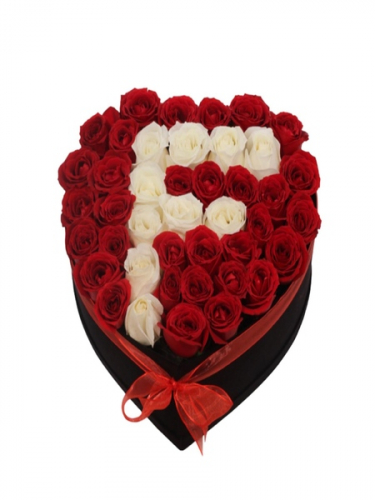 Kalpli Kutuda Baş Harf Tasarım