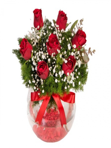 Fanusta 7 Kırmızı Gül