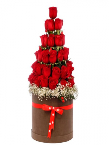 Piramit Gül Tasarım