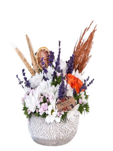 Mini Saksıda Mini Çiçekler