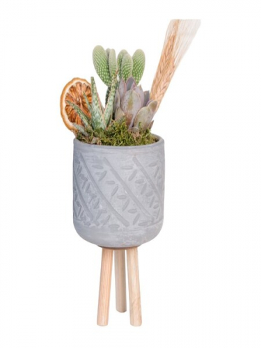 Ayaklı Saksıda Kaktüs ve Succulenler