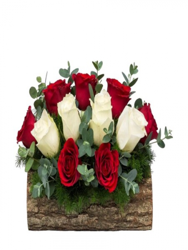 Kütükte Aşk Dolu Güller