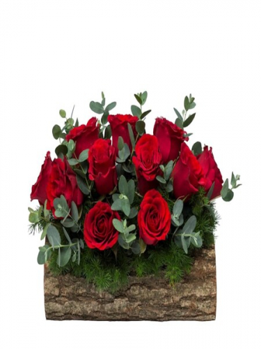 Kütükte 11 Kırmızı Gül 