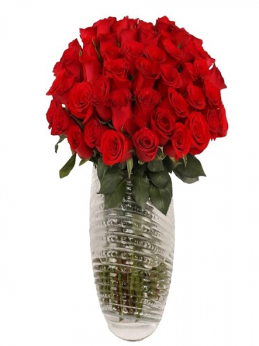 Palmiye Vazoda 80 Kırmızı Gül