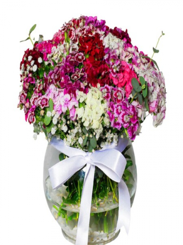 Fanusta Hüsnüyusuf Çiçekleri