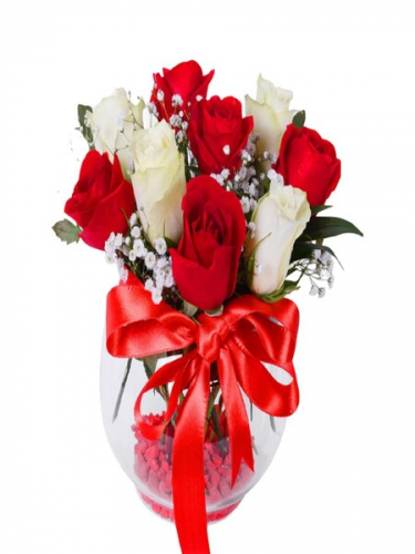 Fanusta Kırmızı Beyaz Güller
