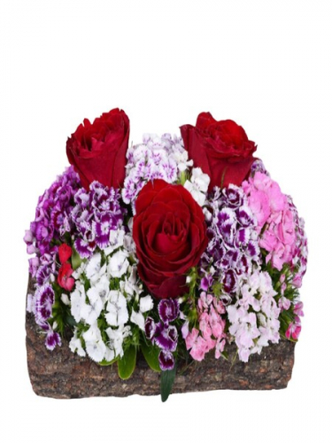 Kütükte Hüsnüyusuf ve Güller