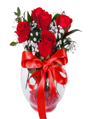 Fanusta 5 Kırmızı Gül