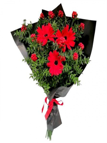 Yıl Başı Çiçekleri