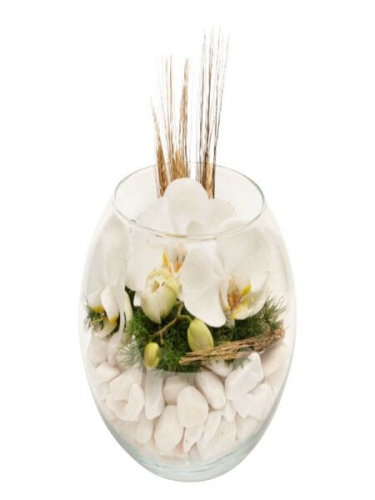 Camda Beyaz Orkideler