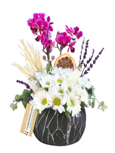 Mini Orkide ve Beyaz Papatyalar