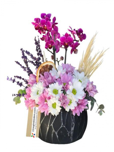 Mini Orkide ve Papatyalar