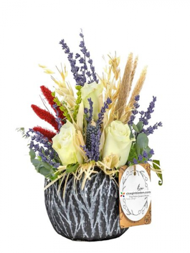 Taş Saksıda Beyaz Güller