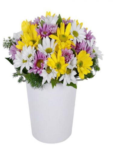 Seramikte Renkli Papatyalar