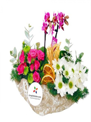 Kayık Saksıda Mini Orkide Aranjman
