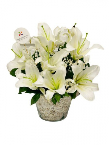 Konik Camda Lilyumlar