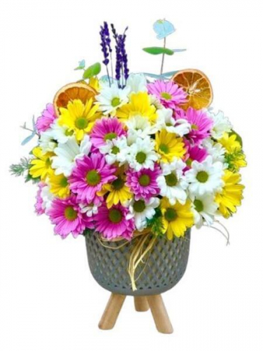 Ayaklı Saksıda Papatyalar