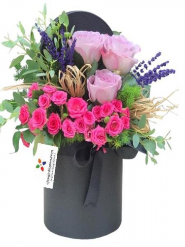 Kutuda Renkli Güller