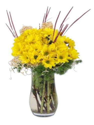 Vazoda Sarı Papatyalar