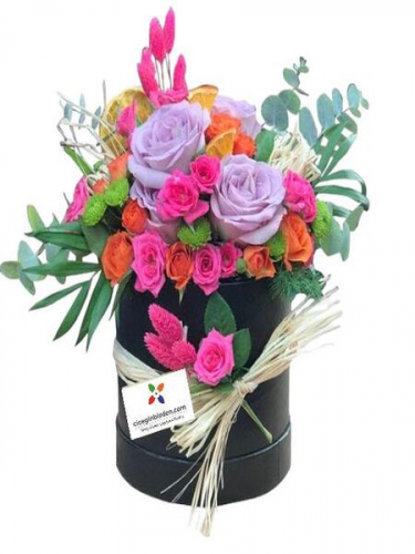 Kutuda Renkli Çardak Gülleri