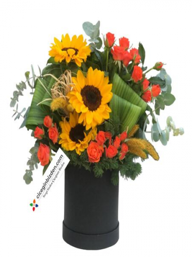 Yuvarlak Kutuda Aranjman