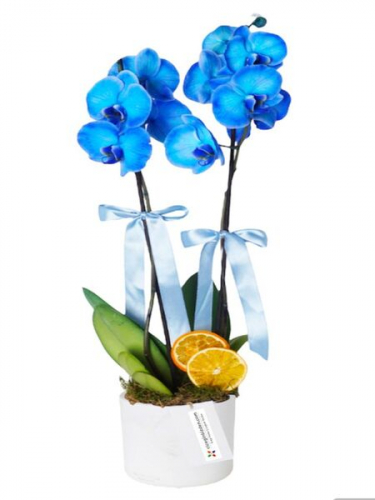 Aşkların En Güzeli