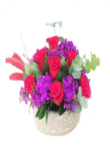 Dekor Saksıda Hüsnüyusuf ve Güller