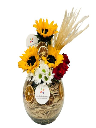 Fanusta Ayçiçeği Tasarım