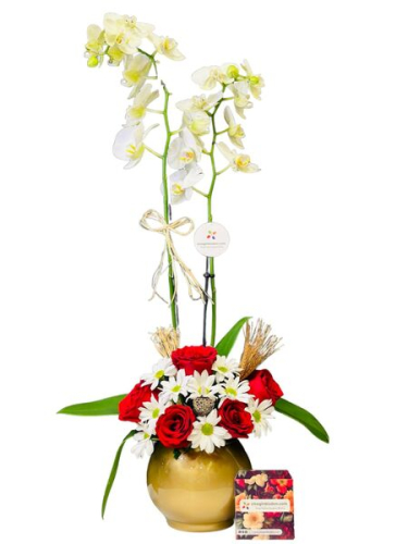 Beyaz Orkide Aranjman
