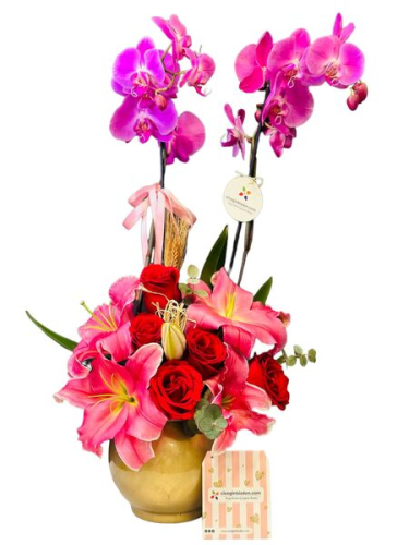 Pembe Orkideli Aranjman